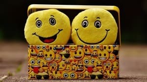 Deux peluches en forme de smileys joyeux, symbolisant la joie et l'amusement lors des ateliers en famille sur la régulation des émotions.