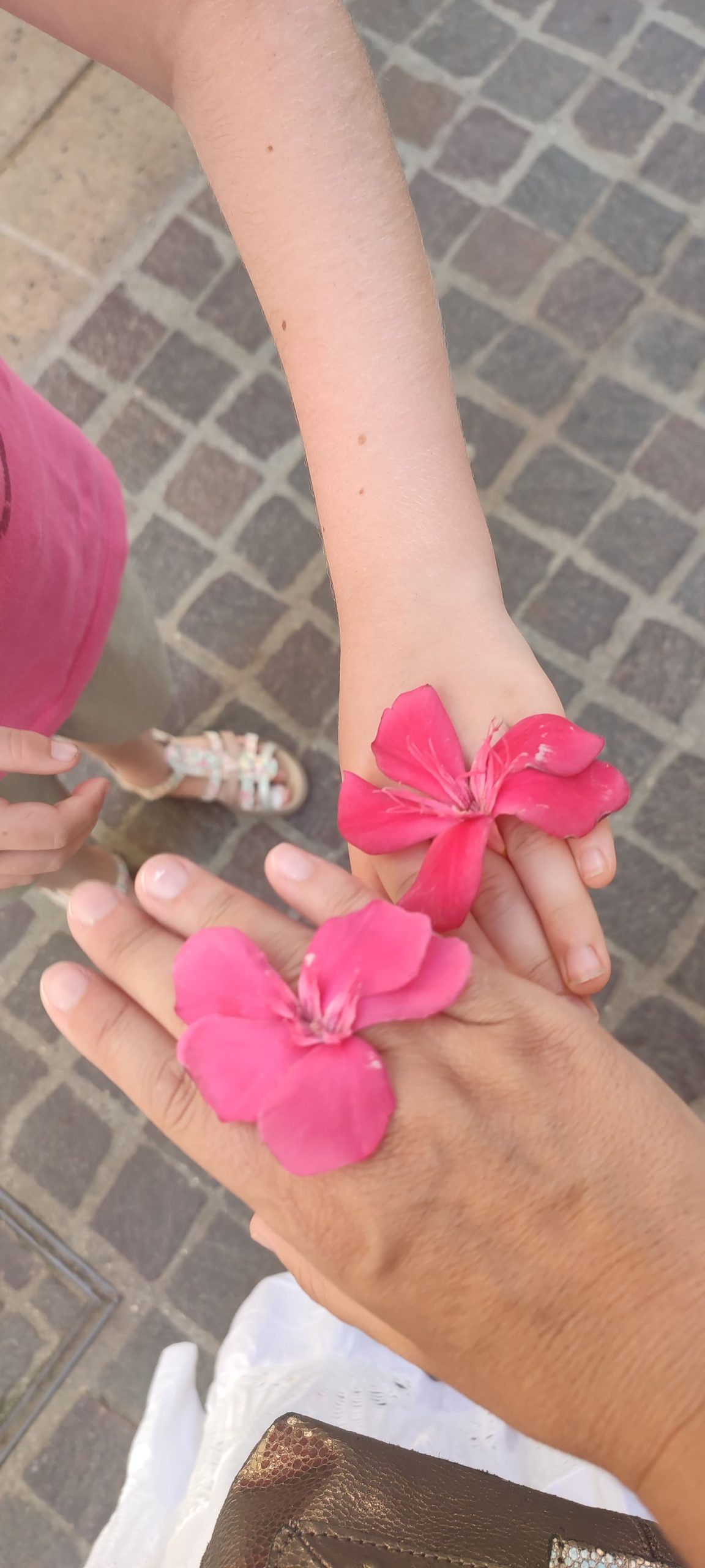 mains d'une maman et de sa fille qui se rejoignent, ornées de la même fleur de vacances symbolisant l'amour et la connexion mère-fille